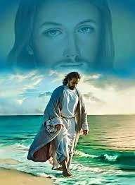 We did not find results for: Huellas En La Arena Marypages