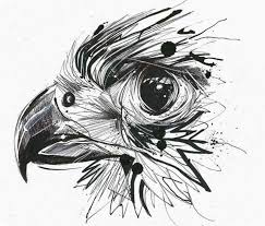 Bird Of Prey Tattoo Designs Pin By Clara Mccown On Tattoo Designs Men In 2020 Bird Of Prey Tattoo Falcon Tattoo Eagle Painting