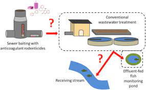 Learn how to give yourself a shot of anticoagulant (blood thinner) medicine, to help prevent blood clots after surgery. Wastewater Borne Exposure Of Limnic Fish To Anticoagulant Rodenticides Sciencedirect