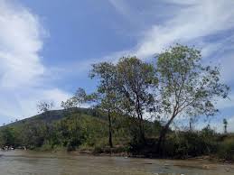 Pulau kecil ini memiliki luas sekitar 60 hektar. Alamat Kiram Park Laco Blog