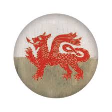 Trans flag but i mistakenly shrunk it in one corner. Badge Pin Welsh Dragon Wales Flag The Welsh Gift Shop