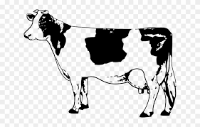 Check spelling or type a new query. Susu Sapi Kartun Images Hewan Ternak Source Abuse Report Cow Clipart Black And White Free Transparent Png Clipart Images Download