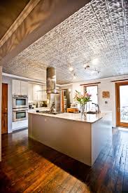 My Houzz Artful Restoration For A Brooklyn Brownstone Kitchen Ceiling Tin Ceiling Contemporary Kitchen