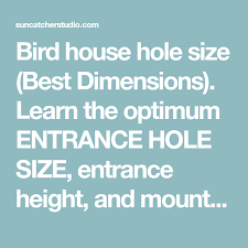 Birdhouse Hole Size Chart Bird House Hole Size Best Dimensions Bird House Feeder Bird Houses Bluebird House