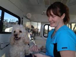 Maybe you would like to learn more about one of these? Grooming Fearful Aggressive Rescue Dogs Awesome Doggies Mobile Pet Grooming