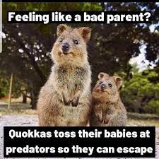 Since we still don't know where exactly we'll end up, once again, we're going to keep a record of the most viral and impactful memes, one month at a time, to help us along on this journey. 15 Parenting Memes For People Tired Of Their Kids In 2021 Funny Animal Memes Funny Minion Pictures Bad Parents