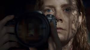 The woman in the window is an upcoming american psychological thriller film directed by joe wright, from a screenplay by tracy letts, based on the 2018 novel of the same name by pseudonymous. The Woman In The Window Finally Set For 2021 Debut On Netflix