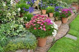 The plants can be just a few inches tall or grow up to four feet, depending on the genus. How To Plant In Pots Or Containers The Old Farmer S Almanac