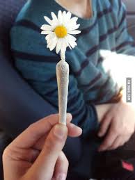 Check spelling or type a new query. I Asked My Boyfriend For Flowers This Is What He Gave Me 9gag