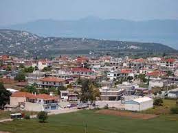Τουλάχιστον 10 θάνατοι έχουν σημειωθεί τις τελευταίες ημέρες από κορωνοϊό στη μαλεσίνα, καθώς ακόμα ένας κάτοικος πέθανε στη μεθ του γενικού νοσοκομείου λαμίας. Sthn Malesina Lekoyna To Tragoydi Gia Thn Malesina Youtube