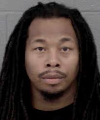 Michael Dogan Possession Of Firearm By Felon