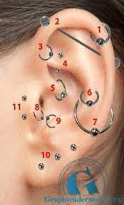 Best Piercing Oreille Nom Ideas Earings Piercings Ear Piercings Ear
