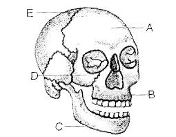 We did not find results for: Contoh Soal Olimpiade Sains Nasional Osn Biologi Smp Pendidikan Kewarganegaraan Pendidikan Kewarganegaraan