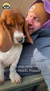 I really do love Poppy so much ❤️