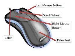 A simple introduction to computer mice, with photos showing what's inside an optical mouse and a ball mouse. The Mouse And Touchpad