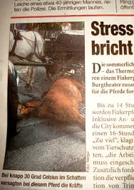Die eiligst zu hilfe gerufene tierärztin konnte nichts. Das Leid Der Fiakerpferde In Wien