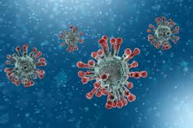 The latest science news and developments about space, animal behavior, plant life, the brain, genetics, archaeology, robots and climate change, along with carl zimmer and the weekly science times. Public Trust In Science Soars Following Pandemic Times Higher Education The