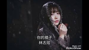 你的样子lrc歌词 下载《你的样子lrc歌词》 ti:你的样子 ar:林志炫 al:一个人的样子 by: 00:04.57你的样子 00:08.00演唱：林志炫 00:12.41 00:17.74我听到传来的谁的声音 00:20.81象那梦里呜咽中的小河 00:24.70我看到远去的谁的步伐 00:27.75遮住告别时哀伤的眼神 00:31.55不明白的是为何你情愿 [00:35.27. ä½ çš„æ¨£å­ æž—å¿—ç‚« Youtube