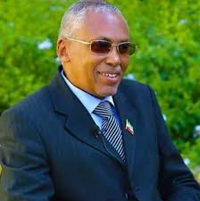 Ex-FM reveals new information regarding UAE military facility in Berbera