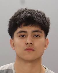 Knox County Arrest Records: Ryan Anthony Mottley Charged with Criminal  Trespass