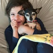 SEARCH FOR PARTICIPANTS