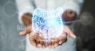 Image result for Fecal Transfer