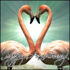 Happy Anniversary Flamingos Glitter Graphic Greeting Comment Meme Or Gif Happy Anniversary Meme Happy Anniversary Happy Anniversary Cards Happy times you've spent together : happy anniversary flamingos glitter