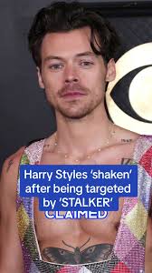 Lauren Jackson Harry Styles Drama