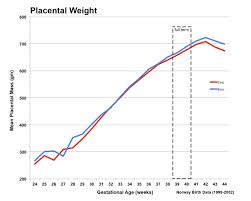 Placenta Development Embryology