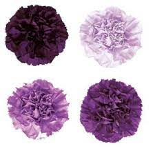 Diy Centerpieces You Can Afford Carnation Flower Purple Carnations Carnation Centerpieces
