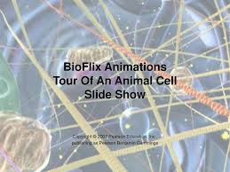Here is a quick guided tour of. Bioflix Animations Tour Of An Animal Cell Slide Show Ppt Download