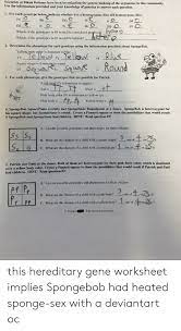 Genetics test 2 answer key. Scientists At Bikini Bottoms Have Been Investigating The Genetie Makeup Of The Organisms In This Community Use The Information Provided And Your Knowledge Of Geneties To Answer Each Question 1 For Each