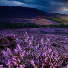 Jim Richardson On Instagram Natgeo100contest Today Marks A Wonderful Miles National Geographic Photographers National Geographic Travel National Geographic