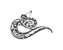 More images for ball python clipart black and white » Ball Python Isolated Black Stock Illustrations 61 Ball Python Isolated Black Stock Illustrations Vectors Clipart Dreamstime