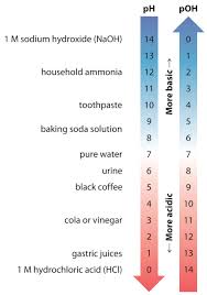 16 3 Self Ionization Of Water And The Ph Scale Chemistry