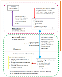 Design Aspects Of Solid State Fermentation As Applied To