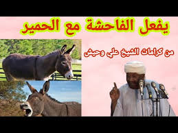 ‎القارىء الشيخ محمدمصطفى أبوجوهر‎, ‎طنطا‎. Ø§Ù„Ø´ÙŠØ® Ù…ØµØ·ÙÙ‰ Ø¹Ø¨Ø¯ Ø§Ù„Ù‚Ø§Ø¯Ø± Ù…Ø¹ Ø§Ù„Ø­Ù…ÙŠØ± Mp3