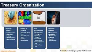 Introduction To Treasury Management Process