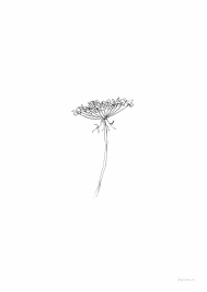Flowers Queen Anne S Lace Lace Flower Tattoos Queen Annes Lace Wildflower Tattoo