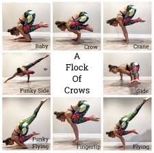 A Flock Of Crows Yoga Sequence Yoga Poses Advanced Advanced Yoga Yoga Asanas
