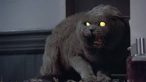 Chouki merabet is an essayist, supervisor and picture taker with right around 14 years of experience of making c. Pet Sematary Proved Stephen King Can Indeed Write A Good Ending