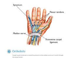 Ogilvie's syndrome presented with delirium in an older patient with. Carpal Sterling Ridge Orthopaedics Sports Medicine Facebook
