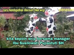 Berada di atas lahan seluas 1,2 hektar, di dalam wcp juga terdapat food court. Kepoin Waduk Cengklik Park Dan Cara Mendapatkan Discount Tiket Masuk Bersama Manager Wcp Youtube