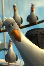 Bird From Finding Dory 24 Questions That Can T Be Answered Finding Nemo Birds Finding Nemo Finding Nemo Mine