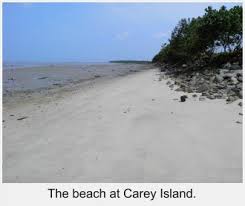 Pulau carey) is an island in selangor, malaysia. Carey Island Pulau Carey Selangor Malaysia