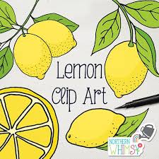 Lemon Clip Art Hand Drawn Citrus Illustrations Summer Etsy How To Draw Hands Clip Art Lemon Drawing Lemon juice is used to make lemonade, soft drinks, and cocktails. lemon clip art hand drawn citrus