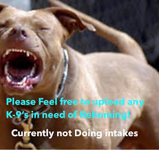 We did not find results for: Colorado Springs Pitbull Rescue Home Facebook