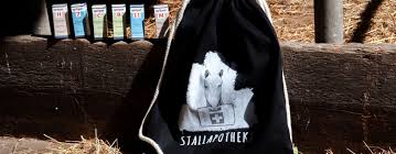 Schüssler salze helfen beim abnehmen und bringen den körper in balance. Homoopathie Schussler Salze Und Co Furs Pferd Wie Gut Sind Die Alternativen Heilmethoden Wirklich