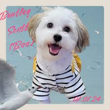 Benton Arkansas Farmers Market and Community