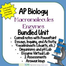 Ap Biology Macromolecules And Enzymes Bundled Unit By Bio4u